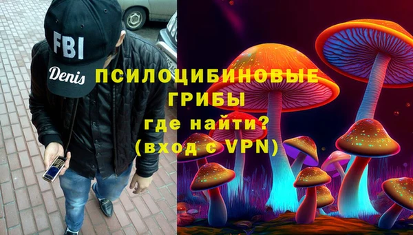 дживик Беломорск