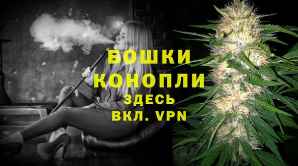 2c-b Богданович