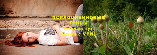 прущие крисы Богородицк
