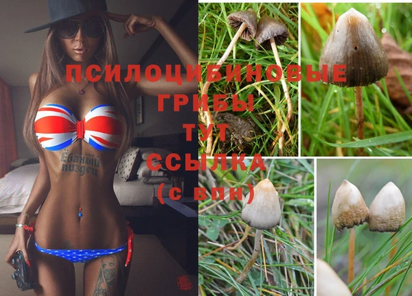 дживик Беломорск