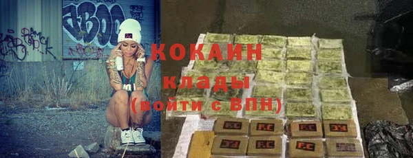 шишки Балахна