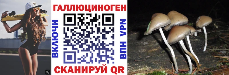 гидра как войти  Баксан  Галлюциногенные грибы Cubensis  закладка 